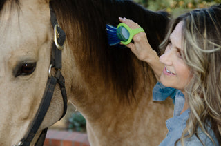 EazyHold Lime used for grooming a horse, showcasing its versatility and ease of use.
